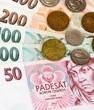 KORUNAAZ prce pes internet EMAILING
